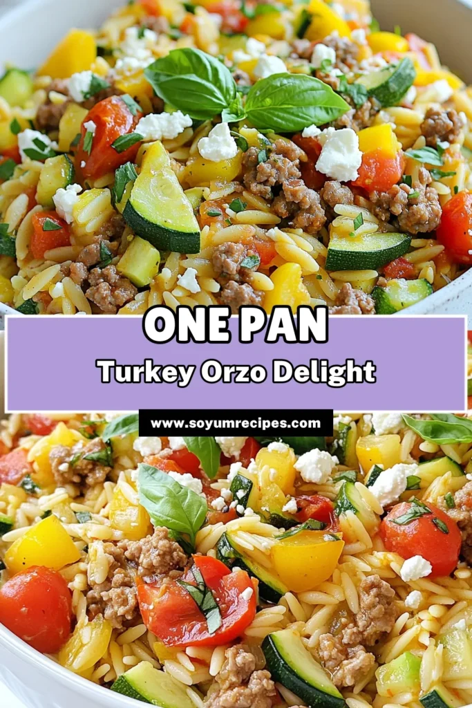 Discover this delicious ground turkey skillet recipe that combines nutritious ingredients into one tasty dish! Perfect for busy weeknights, this healthy turkey and vegetable skillet features tender orzo pasta and colorful veggies, making it a favorite among easy ground turkey meals. Enjoy this one-pot orzo recipe for a quick dinner solution. Save this recipe for your next meal! #GroundTurkeySkillet #OrzoPastaDishes #EasyGroundTurkeyMeals #OnePotOrzoRecipes