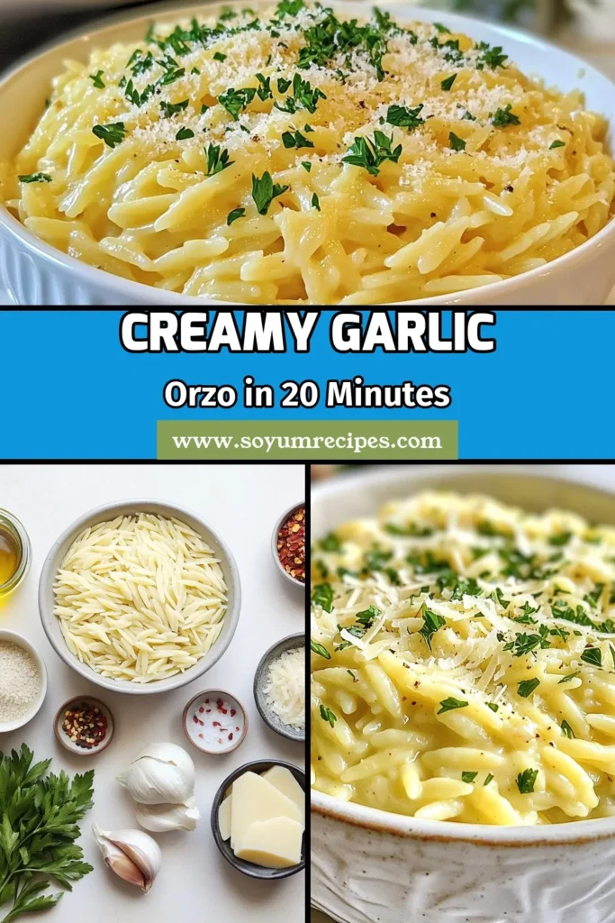 Discover the ultimate comfort food with this creamy garlic parmesan orzo recipe. Perfect for busy nights, this easy orzo recipe combines rich flavors in just one pot. Ideal for vegetarian pasta dishes, it’s a quick and delicious meal the whole family will love. Try this one-pot orzo recipe tonight and savor the dreamy garlic parmesan pasta experience! Save this for later! #GarlicParmesanPasta #OnePotRecipes #OrzoRecipes #VegetarianDinner